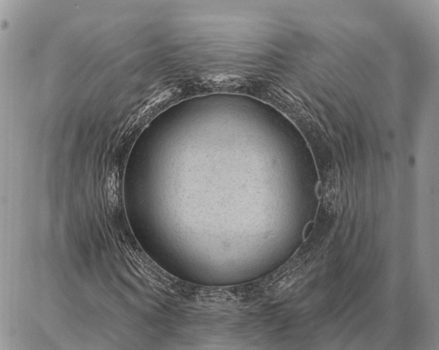 X0000086930866200704231328