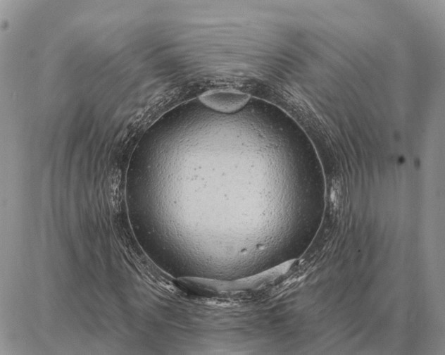 X0000086930867200704231328