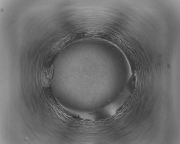 X0000086930868200704231328