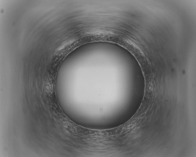 X0000086930869200704231328