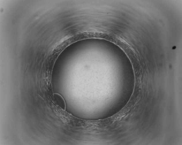 X0000086930870200704231328