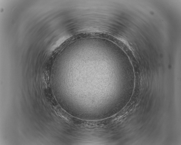 X0000086930871200704231328