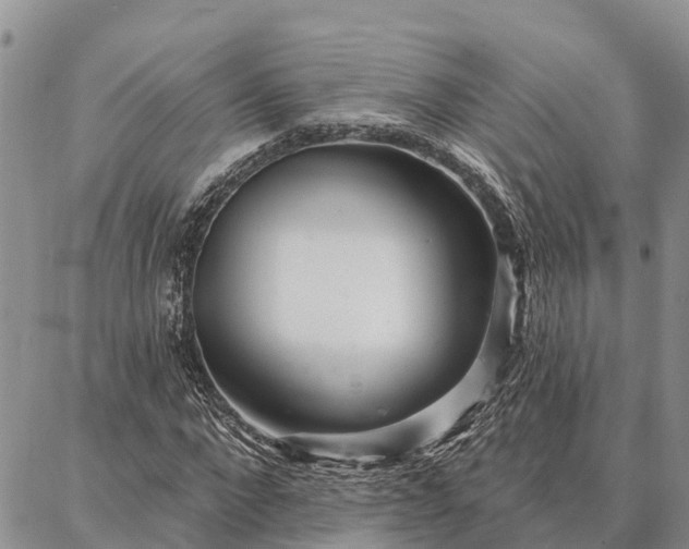 X0000086930872200704231328