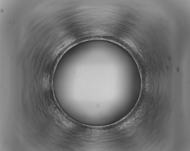 X0000086930873200704231328