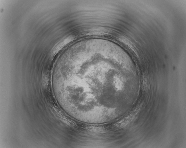 X0000086930874200704231328