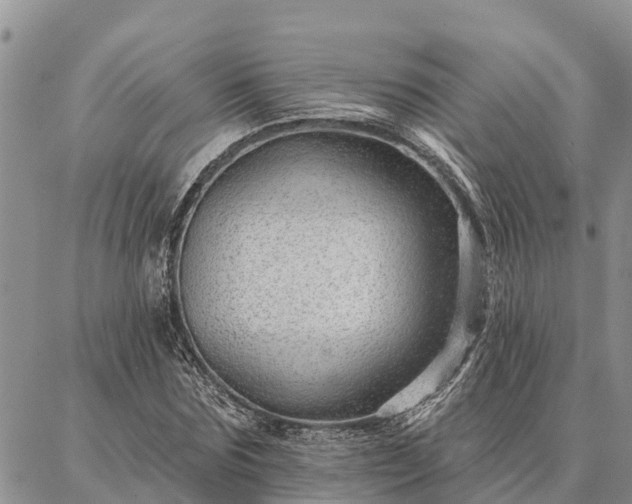 X0000086930875200704231328