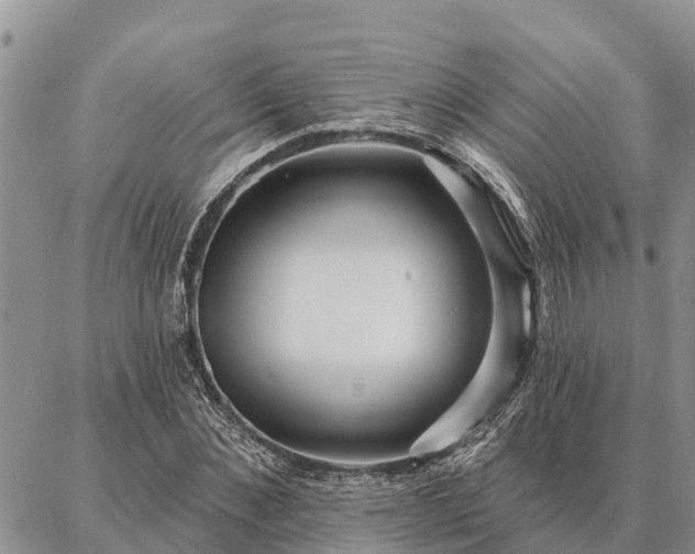 X0000086930876200704231328