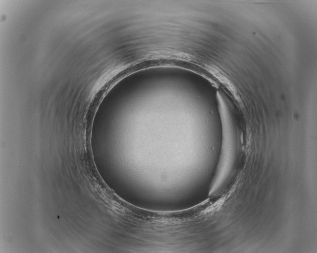 X0000086930877200704231328