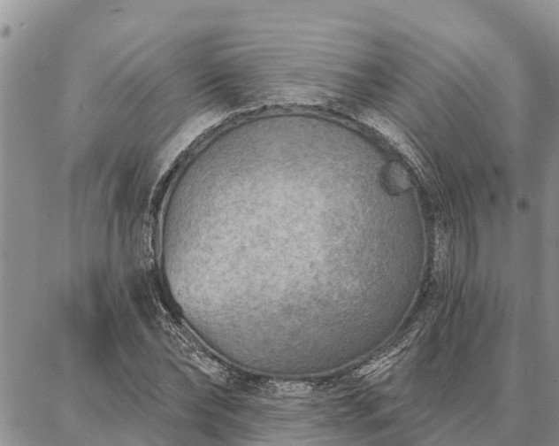 X0000086930878200704231328