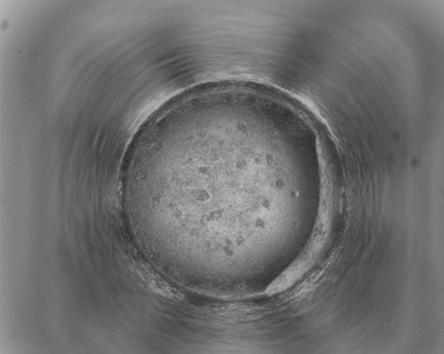 X0000086930879200704231328