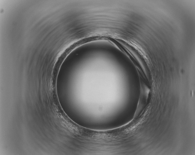 X0000086930880200704231328