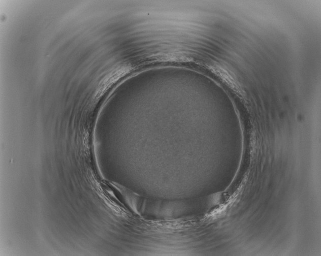 X0000086930881200704231328