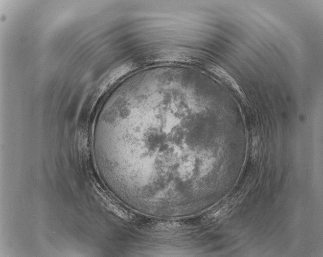 X0000086930882200704231328