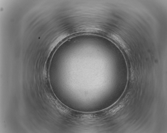 X0000086930883200704231328