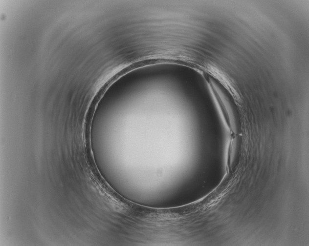 X0000086930884200704231327