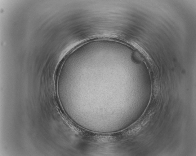 X0000086930886200704231327