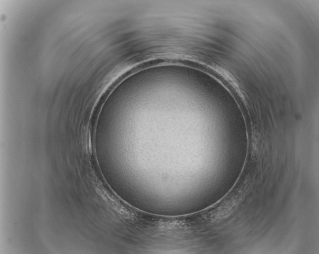 X0000086930887200704231327