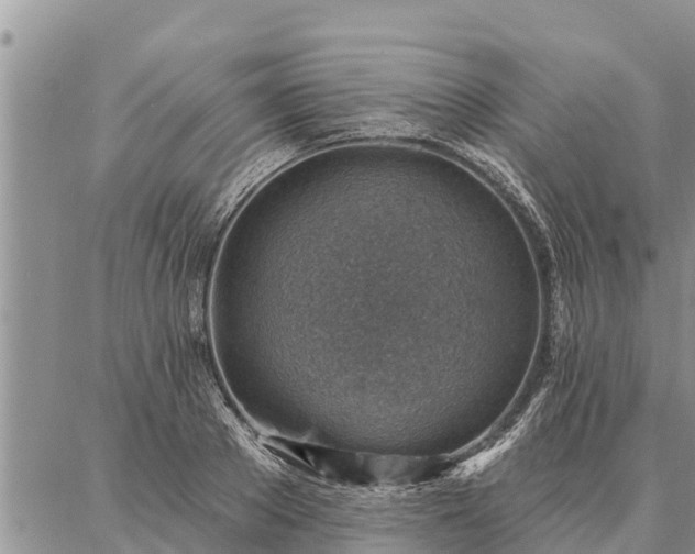 X0000086930889200704231327