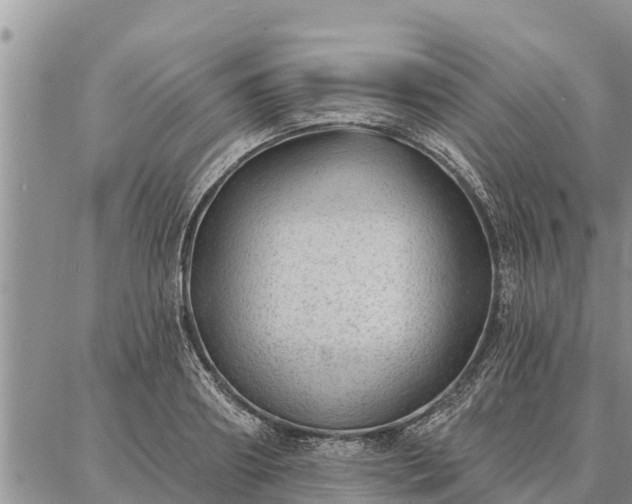 X0000086930890200704231327