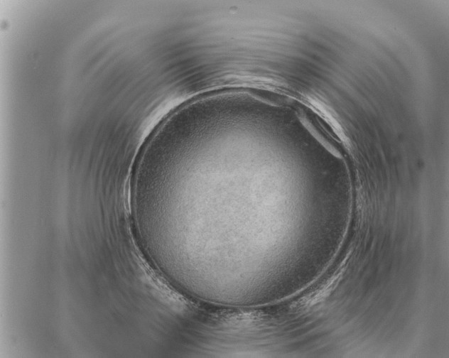 X0000086930891200704231327