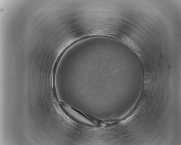 X0000086930892200704231327