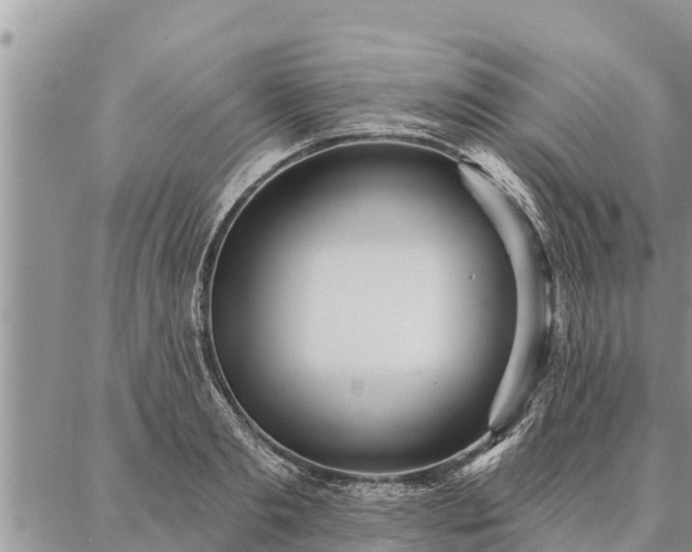 X0000086930893200704231327