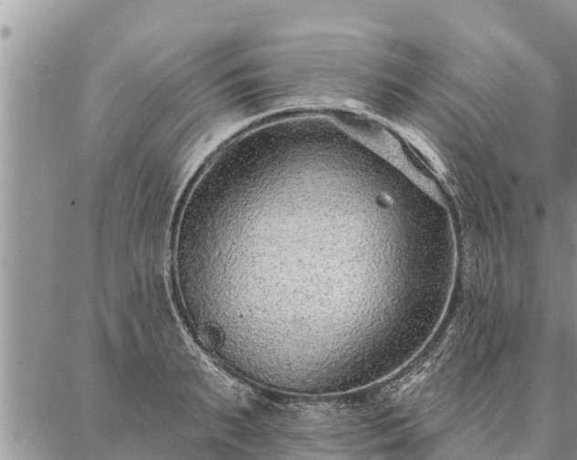 X0000086930895200704231327