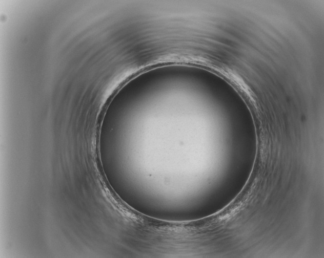 X0000086930896200704231327