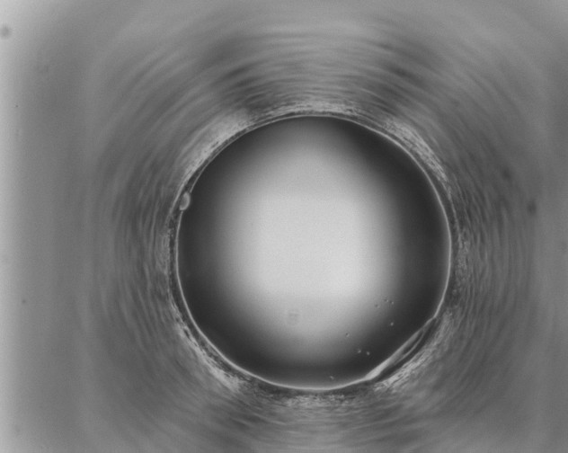 X0000086930898200704231327