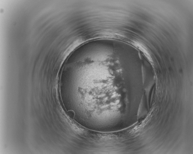 X0000086930899200704231327