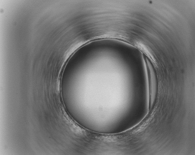 X0000086930900200704231327