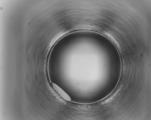 X0000086930901200704231327