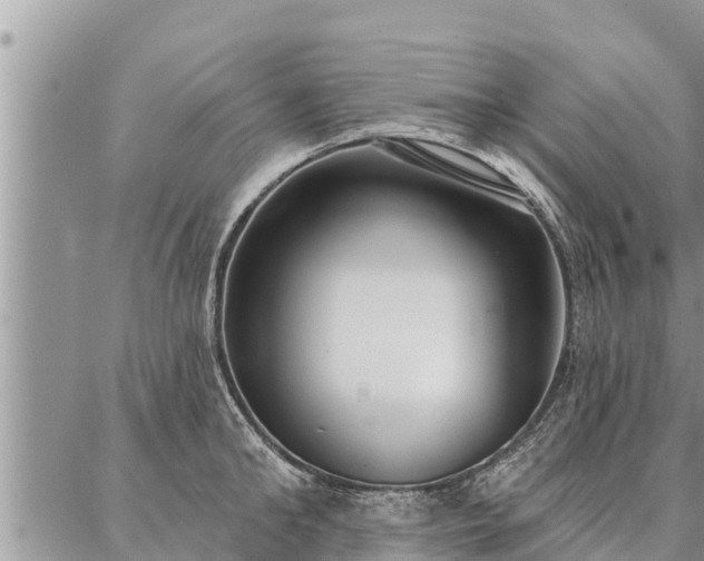 X0000086930902200704231327