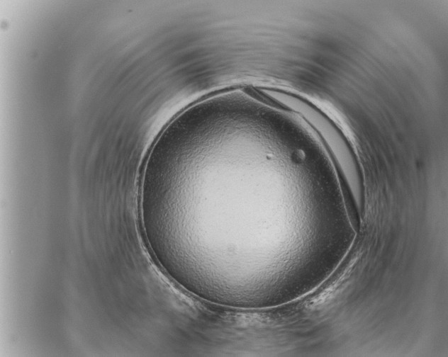 X0000086930903200704231327