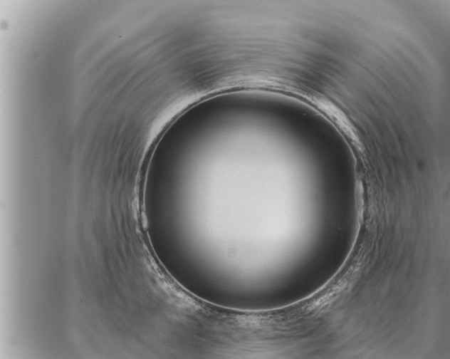 X0000086930904200704231327