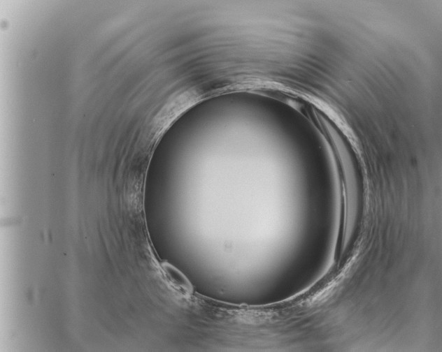 X0000086930905200704231327