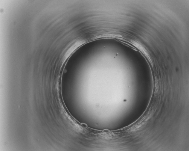 X0000086930906200704231327