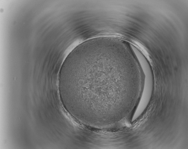 X0000086930907200704231327