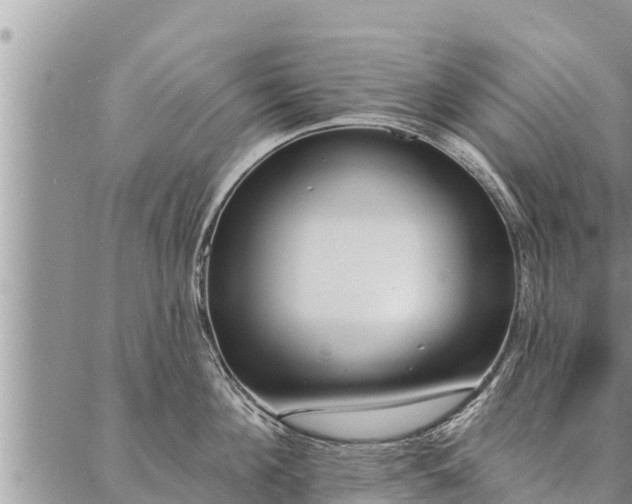 X0000086930908200704231327