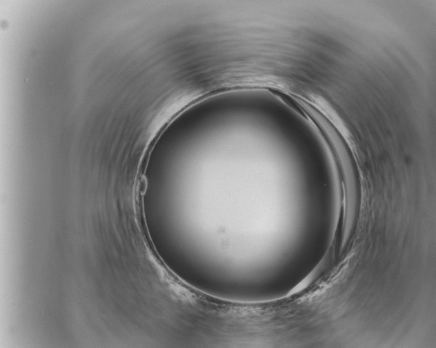 X0000086930909200704231327