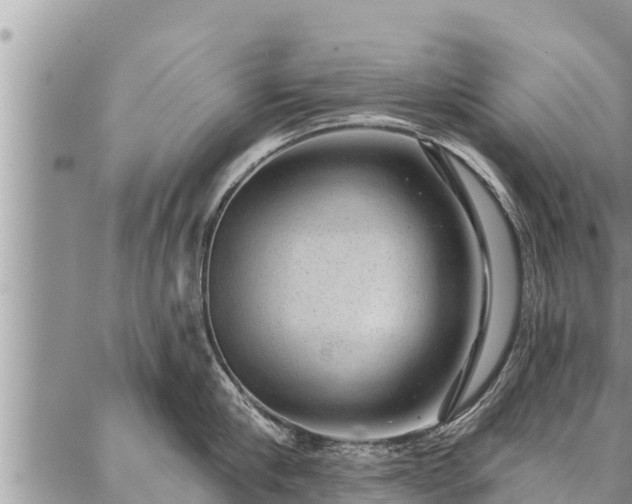 X0000086930910200704231327