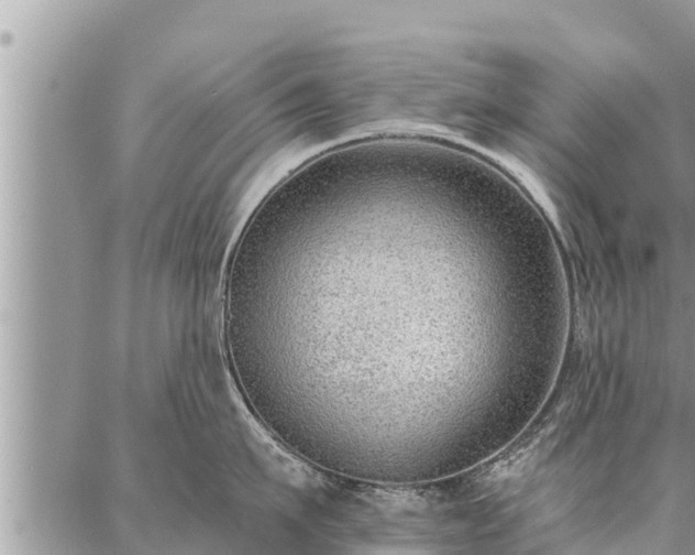 X0000086930911200704231327