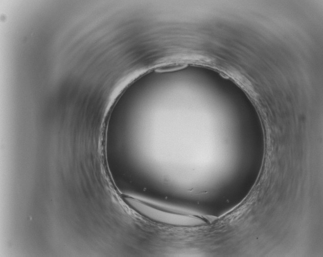 X0000086930912200704231327