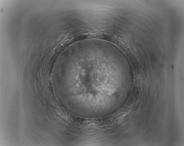 X0000086930913200704231326