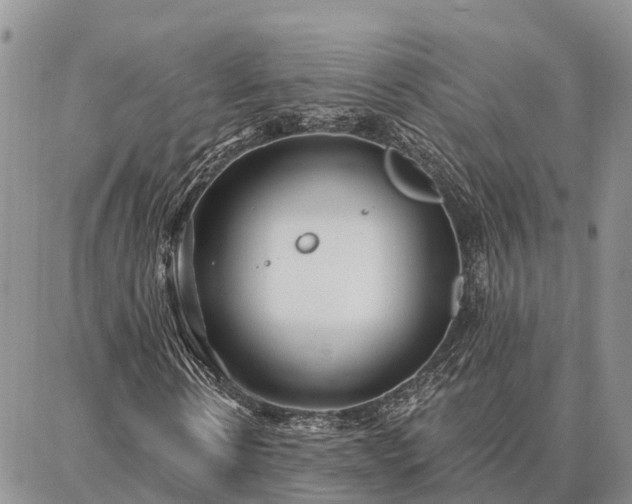 X0000086930914200704231326