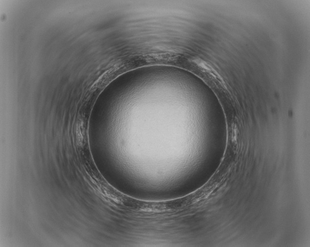 X0000086930915200704231326