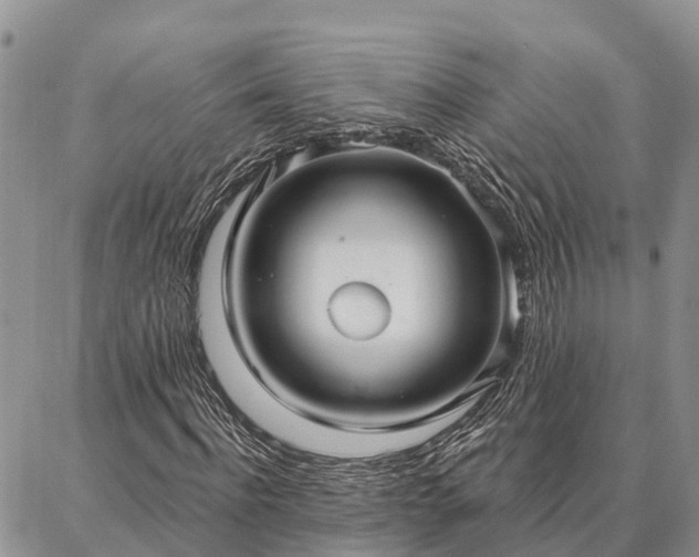 X0000086930916200704231326