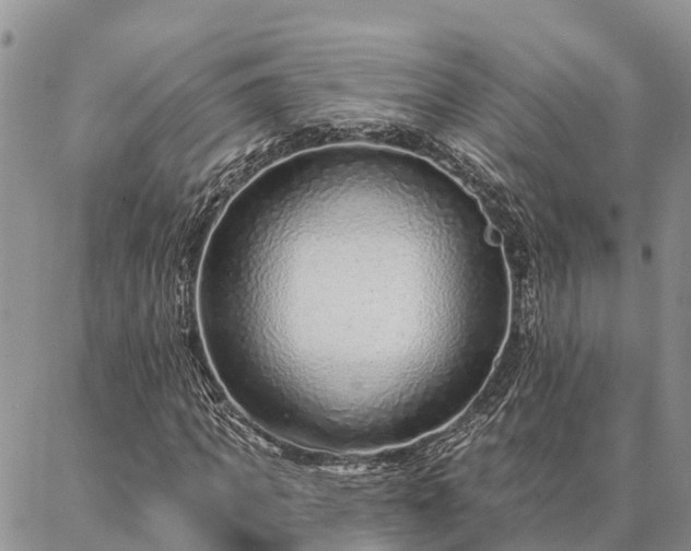 X0000086930917200704231326