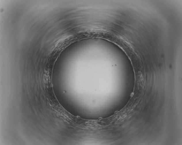 X0000086930918200704231326