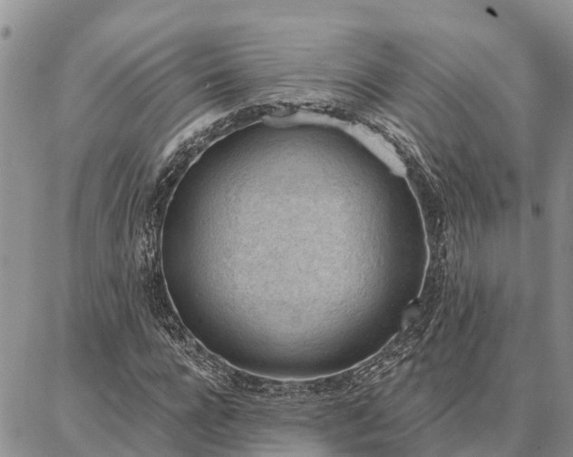 X0000086930920200704231326